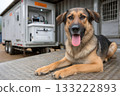 German shepherd dog relaxing near mobile veterinary clinic in the countryside 133222893