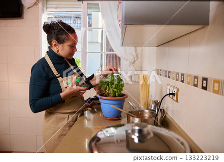 Woman Gardening Indoor Basil Plant in Kitchen With Pruning Shears and Apron 133223219