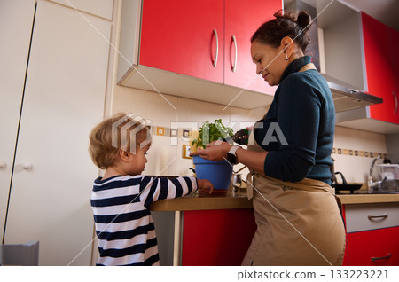 Mother And Child In A Modern Kitchen Working With A Plant And Cooking Tools 133223221