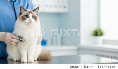 Professional veterinarian examining a cat with a stethoscope in a clean, bright clinic environment. 133223456