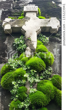 Moss covered cross with the letters "Svj" on it Moss covered cross with the letters "Svj" on it 133223941