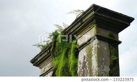 Moss covered stone pillar with a green plant growing on it Moss covered stone pillar with a green plant growing on it 133223975