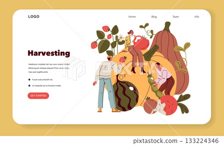 Vector illustration of people engaging in fruit and vegetable harvesting. Large produce like pumpkins and tomatoes is showcased alongside joyful individuals collecting fresh items. 133224346