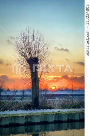 A Serene and Beautiful Sunset Over a Winter Landscape Featuring a Barren Tree Silhouette A Serene and Beautiful Sunset Over a Winter Landscape Featuring a Barren Tree Silhouette 133224808