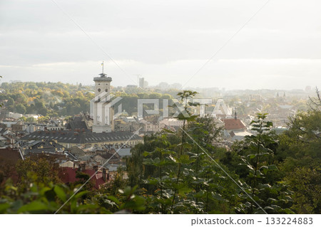 Cityscape with Prominent Clock Tower and Greenery Cityscape with Prominent Clock Tower and Greenery 133224883