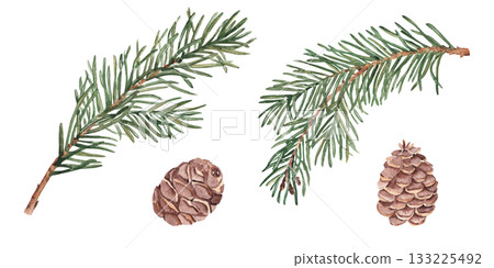 Pine or Fir Branches and cones set. Watercolor Hand painted illustration of Winter forest plant with green needles on white background. Pine or Spruce Twig For Christmas design, festive decor 133225492