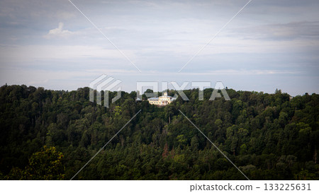 Historic building surrounded by dense green forest under cloudy sky Historic building surrounded by dense green forest under cloudy sky 133225631