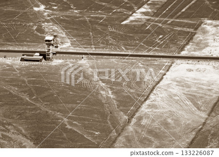 納斯卡線條，秘魯，南美洲 133226087