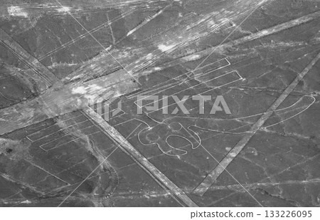 Nazca Lines, Peru, South America: Parrot 133226095