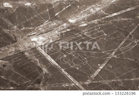 Nazca Lines, Peru, South America: Parrot Nazca Lines, Peru, South America: Parrot 133226196