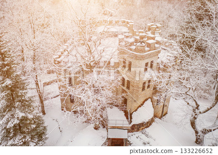 Old castle in the winter Glen park. Tallinn, Estonia. 133226652
