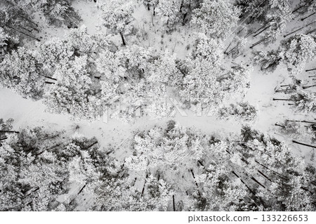 Winter road in snow covered forest, aerial view. Estonia. Winter road in snow covered forest, aerial view. Estonia. 133226653