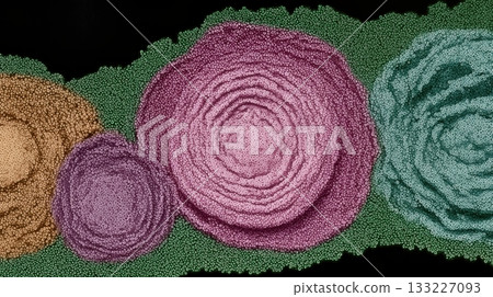 Evolution of Multicellular Life Showcased With Vibrant Colors and Unique Cellular Structures Evolution of Multicellular Life Showcased With Vibrant Colors and Unique Cellular Structures 133227093