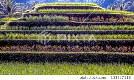 Bali Rice Terraces: Stunning Green Layers Amid Tropical Scenery Bali Rice Terraces: Stunning Green Layers Amid Tropical Scenery 133227118