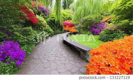 Bright Colors Fill a Serene Garden Path Surrounded by Vibrant Flowers and Lush Greenery 133227129