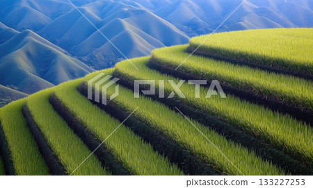 Bali Indonesia Features Stunning Rice Terraces With Geometric Layers Under Clear Blue Skies Bali Indonesia Features Stunning Rice Terraces With Geometric Layers Under Clear Blue Skies 133227253