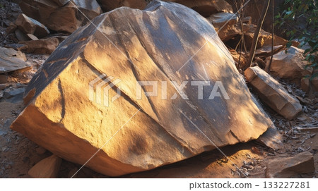Rough Boulder With Faded Ancient Markings Located in a Serene Natural Environment 133227281