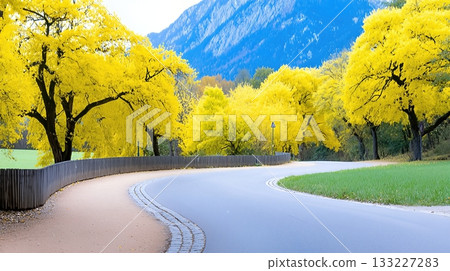 Winding Countryside Road Surrounded by Vibrant Golden Trees in Autumn Sunlight 133227283