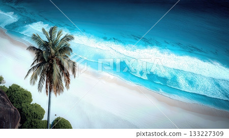 Overhead View of a Serene Sandy Beach in Indonesia With Lush Vegetation and Clear Blue Waters 133227309
