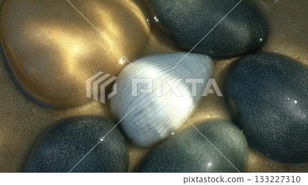 Shells and Stones Create a Beautiful Design on Wet Sand With a Reflective Surface at the Beach 133227310