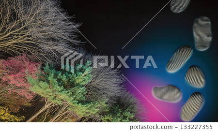 Footprints Lead Through Soft Earth Toward Vibrant Forest Scene at Dusk Footprints Lead Through Soft Earth Toward Vibrant Forest Scene at Dusk 133227355