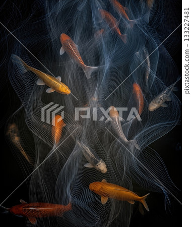 Colorful Koi Fish Swimming Gracefully in a Flowing Light Ribbon Underwater in a Serene Setting Colorful Koi Fish Swimming Gracefully in a Flowing Light Ribbon Underwater in a Serene Setting 133227481