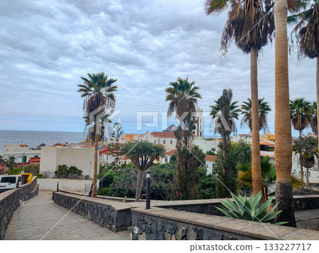 Enjoy the serene coastal view, with palm trees and lush greenery all around you 133227717