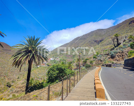 A Scenic Mountain Road that features Lush, Vibrant Vegetation and a Clear Blue Sky above it 133227743
