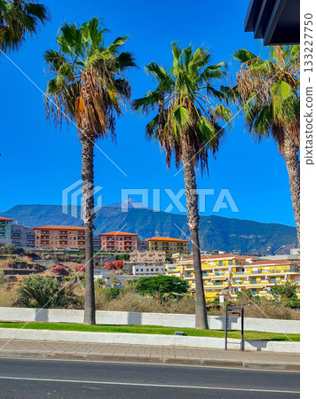 A breathtaking scenic view showcasing palm trees alongside mountains in a charming coastal town 133227750