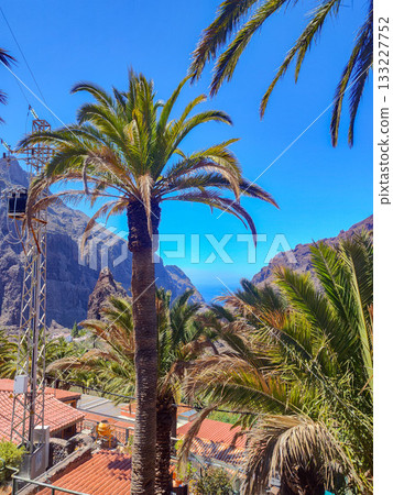 A breathtaking coastal view featuring towering palm trees, majestic mountains, and endless horizons A breathtaking coastal view featuring towering palm trees, majestic mountains, and endless horizons 133227752