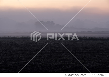 Fields and pale sky submerged in morning mist Fields and pale sky submerged in morning mist 133227828