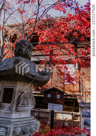 高禪寺庭院的秋景 133227926