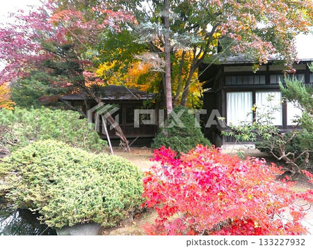 北海道真鍋庭園的秋葉和日式房屋 北海道真鍋庭園的秋葉和日式房屋 133227932