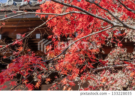 木曾福島高禪寺庭院的秋景 133228035
