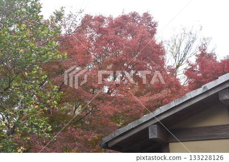 Kyoto · Kodaiji Kyoto · Kodaiji 133228126