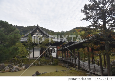 京都·高台寺 京都·高台寺 133228127