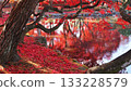 Autumn leaves and ponds Autumn leaves and ponds 133228579