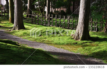 Moss Village 1 Moss Village 1 133228618