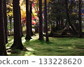 Autumn Leaves and Moss Village 6 133228620