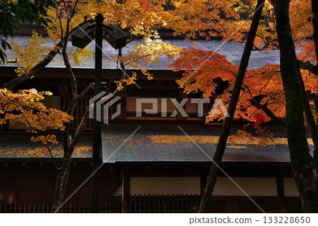 Autumn leaves and Japanese houses 1 Autumn leaves and Japanese houses 1 133228650