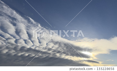 2025 Autumn's Strongest Sardine Cloud Dragon 02 2025 Autumn's Strongest Sardine Cloud Dragon 02 133228658