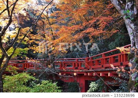 秋季的那陀羅寺 1 133228696