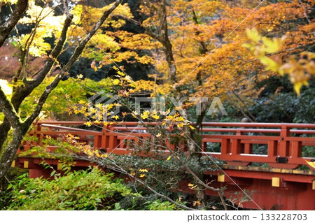 秋季的那陀羅寺 8 133228703