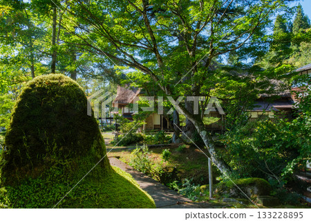 Moss at Meguro House 133228895