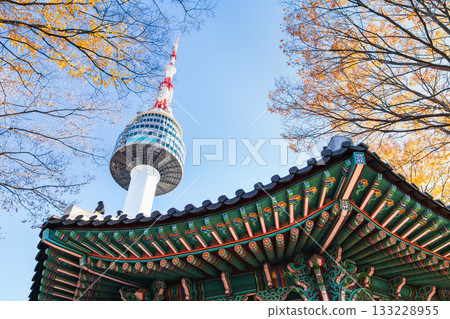 首爾的秋天：南山塔和八角亭 133228955