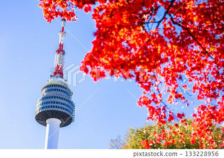 首爾的秋天：南山塔（N首爾塔） 133228956