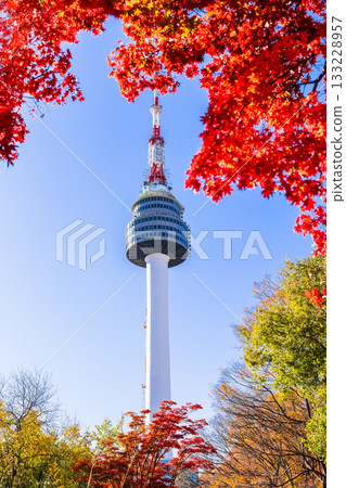 首爾的秋天:南山塔(N首爾塔) 首爾的秋天:南山塔(N首爾塔) 133228957
