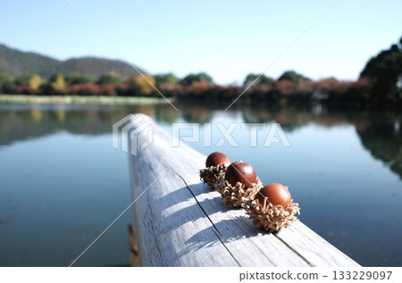 佐賀的秋景 佐賀的秋景 133229097