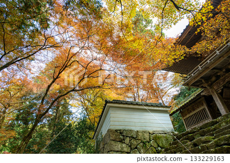 Autumn leaves of Kogenji Temple in Tamba City, Hyogo Prefecture Autumn leaves of Kogenji Temple in Tamba City, Hyogo Prefecture 133229163