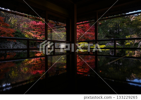 Autumn leaves in the gardens of the former Chikurin-in Temple, Genribo, Otsu City, Shiga Prefecture Autumn leaves in the gardens of the former Chikurin-in Temple, Genribo, Otsu City, Shiga Prefecture 133229265